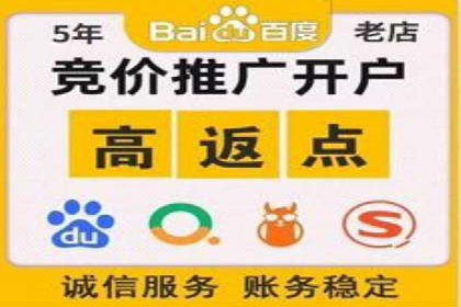 SEM运营公司经典案例点评